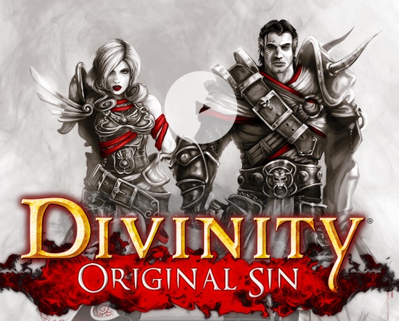 divinity original sin local coop